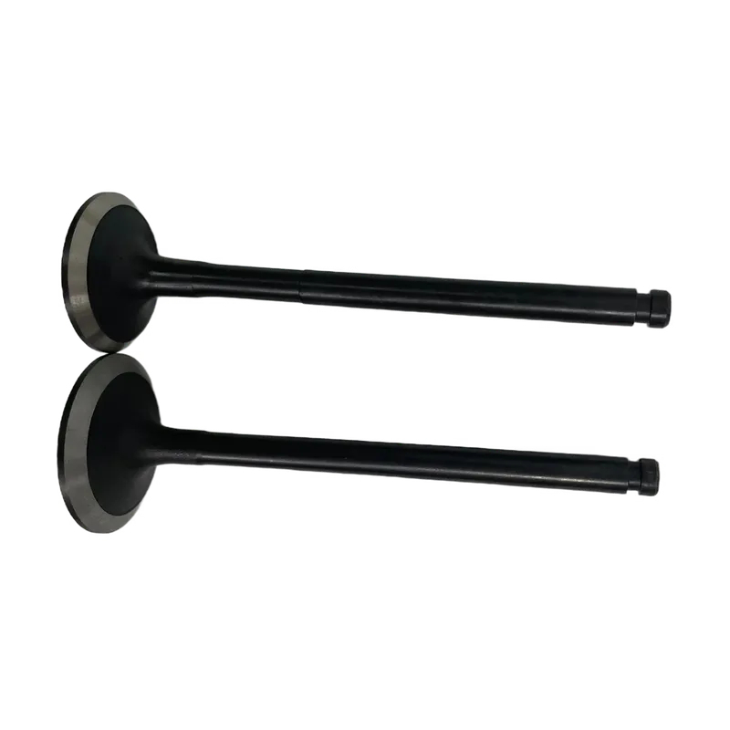 6D95-4D95exhaust valve 6620941-4210